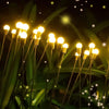 Firefly Solar Lights