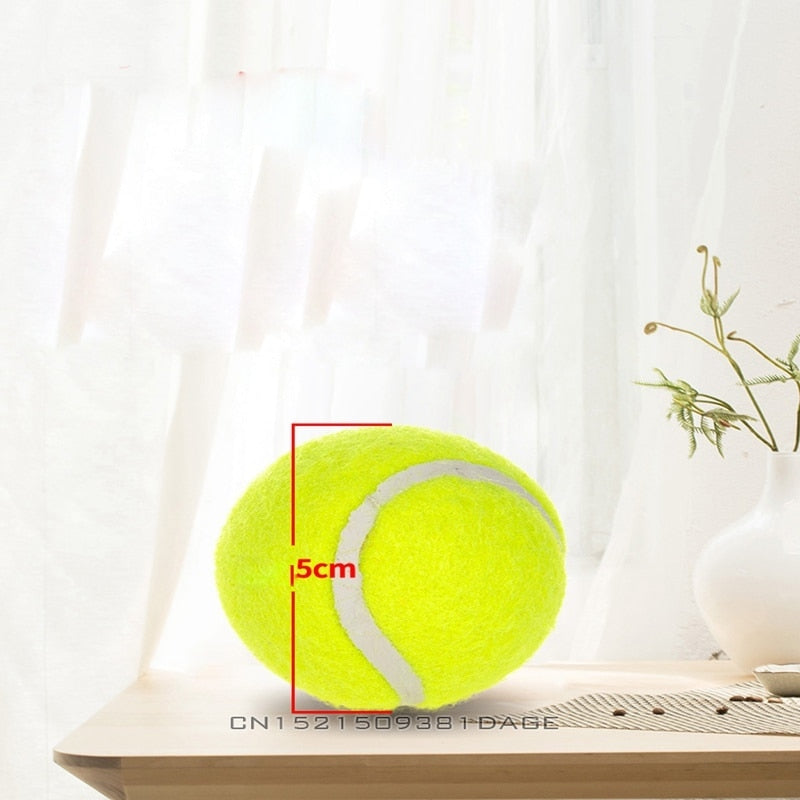6 Tennis Balls- Replacement for Tennis Ball Launcher